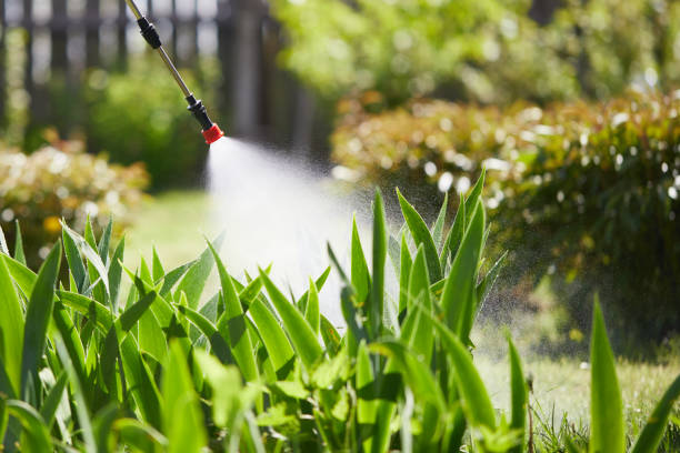 24/7 Emergency Ant Control experts in Palm City, FL