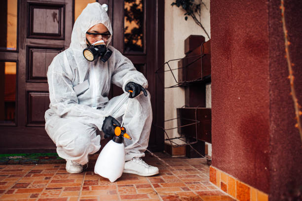Reliable Ant Control contractor in Palm City, FL by Nex Pest Control