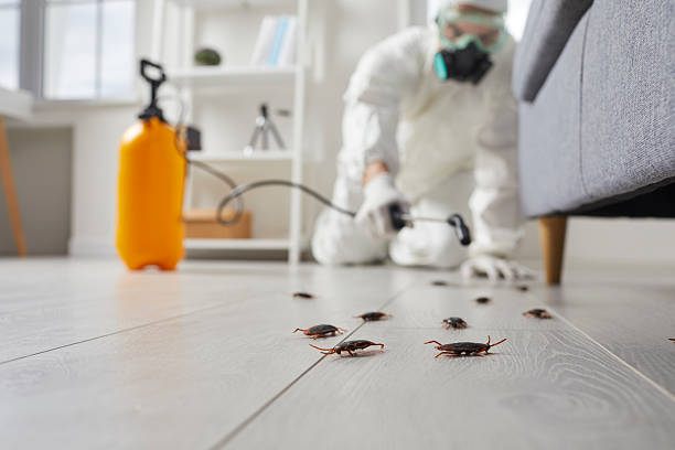 Trusted Fumigation Services service in Palm City, FL - Nex Pest Control