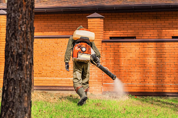 Trusted Emergency Pest Control service in Palm City, FL - Nex Pest Control